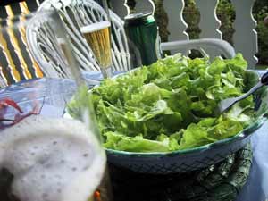 tibet3.jpg (13045 Byte)