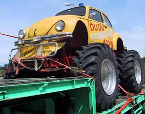 bug1.jpg (14314 Byte)