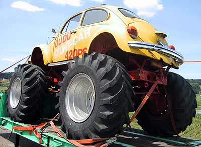 bug2.jpg (22252 Byte)