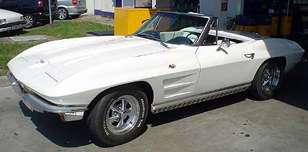 sting1.jpg (17768 Byte)