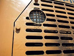 cat12.jpg (13770 Byte)