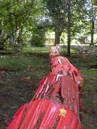 gld9.jpg (15484 Byte)