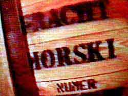 c013.jpg (12689 Byte)