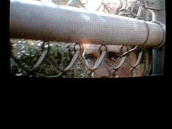 c016.jpg (9802 Byte)