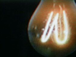 c021b.jpg (9883 Byte)