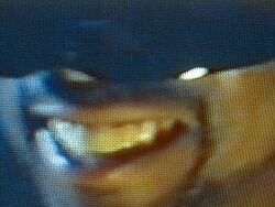 c022.jpg (11068 Byte)