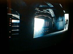 c023.jpg (8089 Byte)