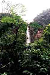 insel3.jpg (11642 Byte)