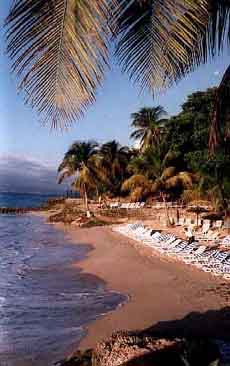 insel04.jpg (20116 Byte)