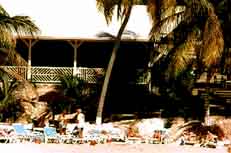 insel13.jpg (14337 Byte)