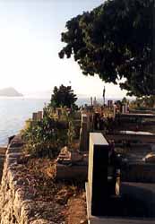 cover.jpg (12589 Byte)