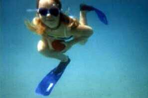 home.jpg (29962 Byte)