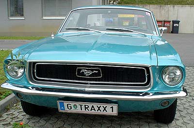 mustang01.jpg (25044 Byte)