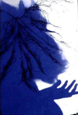 cont04.jpg (15340 Byte)