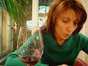 log15d.jpg (16063 Byte)