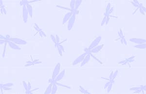 row16a.jpg (2774 Byte)