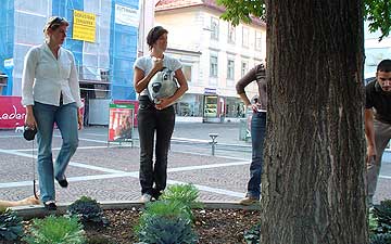 mon03b.jpg (21578 Byte)