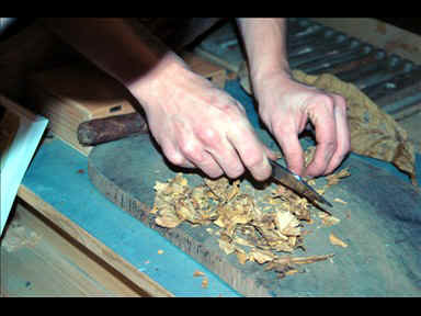 docu09a.jpg (34563 Byte)