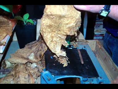 docu09b.jpg (36772 Byte)