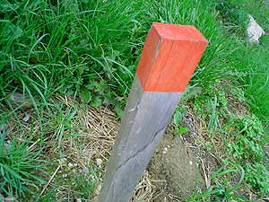 mark02a.jpg (20076 Byte)