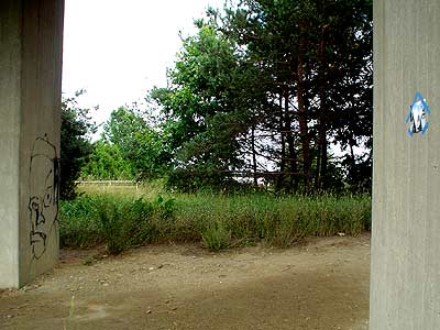 art06h.jpg (27458 Byte)