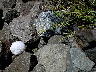 kont47.jpg (30850 Byte)