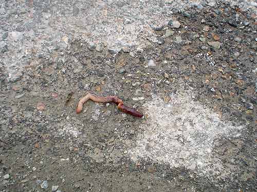 kont47g.jpg (39962 Byte)