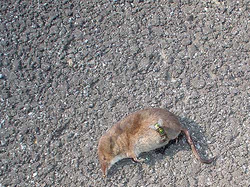 kont47r.jpg (70064 Byte)