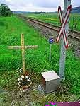 track25t.jpg (4195 Byte)