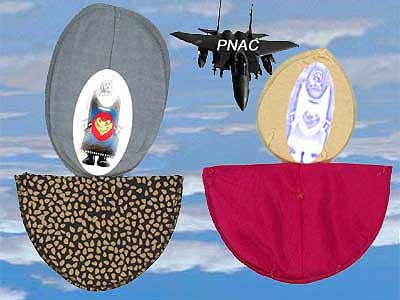 show40.jpg (19118 Byte)