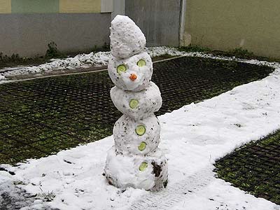 log1051a.jpg (27066 Byte)