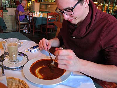 log1994b.jpg (24182 Byte)