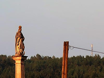 log2529a.jpg (18078 Byte)