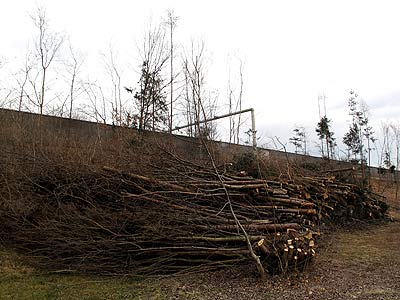 log2557c.jpg (29593 Byte)