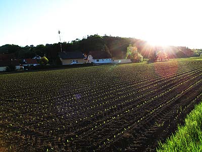 log285a.jpg (27064 Byte)