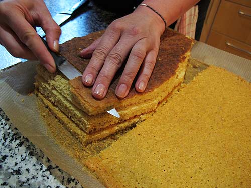 log535b.jpg (35382 Byte)