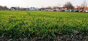 cover01.jpg (17214 Byte)