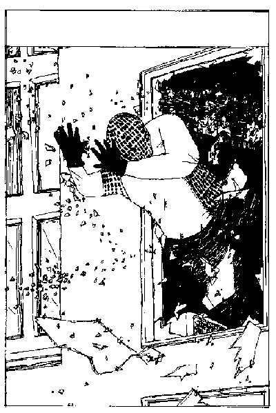 wie02.gif (14531 Byte)